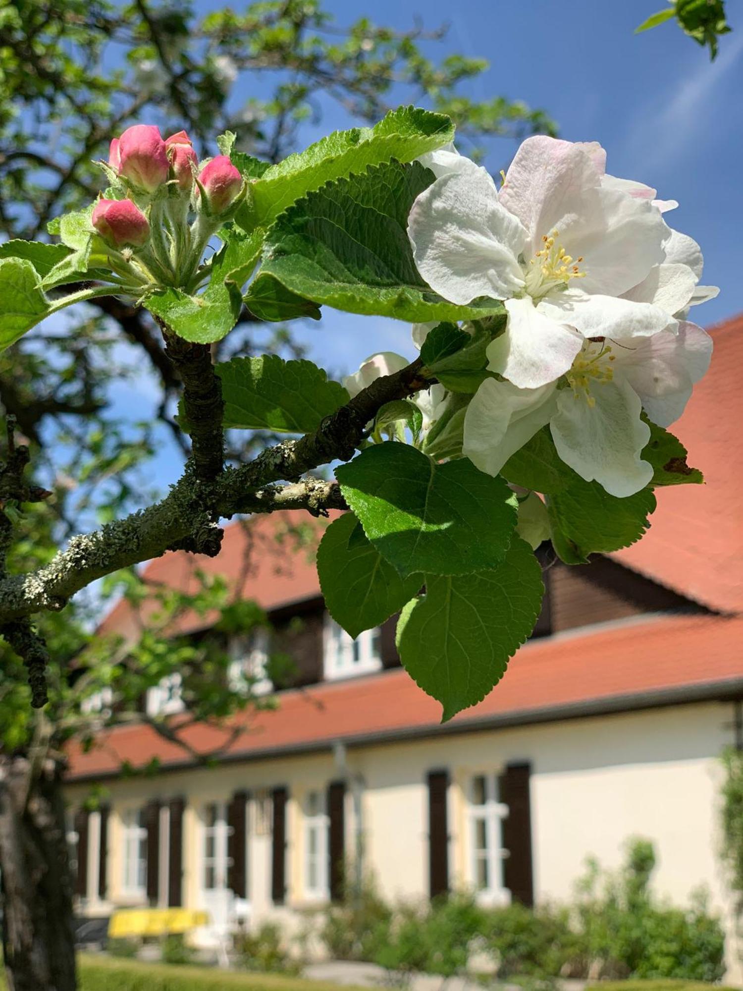 Landhaus Saaleck Naumburg  Esterno foto