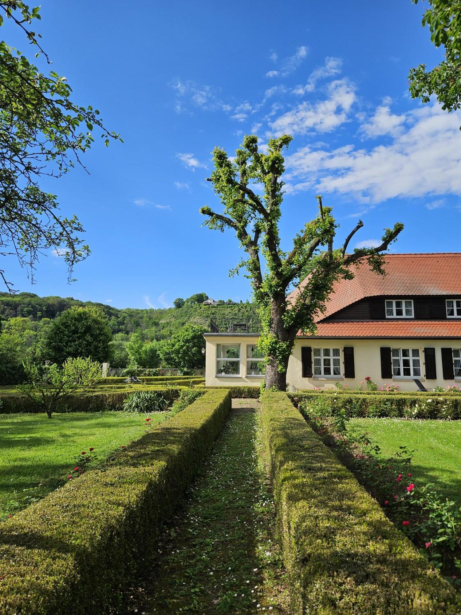 Landhaus Saaleck Naumburg  Esterno foto